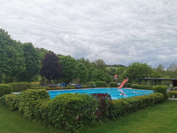 Großer Swimmingpool umgeben von Grünflächen, Bäumen, Pfählen, einem Schuppen und einem bewölkten Himmel.