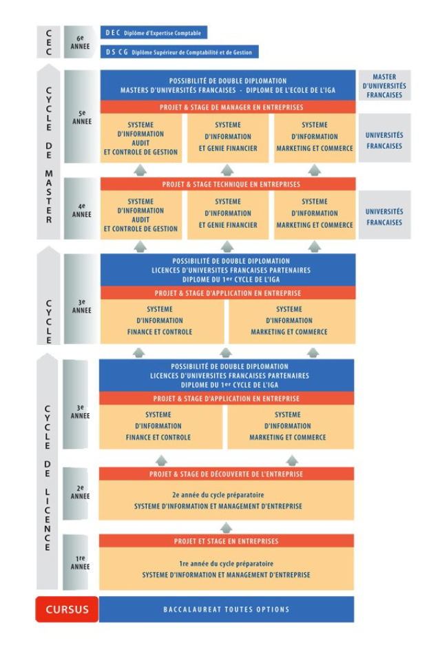 Diagramm, das die organisatorische Struktur eines Unternehmens mit interconnected boxes darstellt, die die Phasen des Geschäfts growths und der Entwicklung darstellen, begleitet von beschreibendem Text.