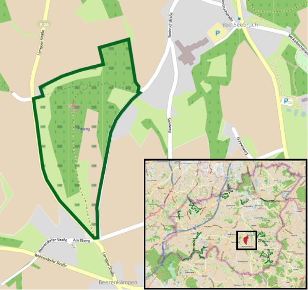 Neuer Bus-Betriebshof, Kfz-Zulassungs- und Führerscheinstelle: Umzug von der Rheinstraße-Industriezone und Neuordnung