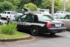 Ein Polizeiwagen auf einem Parkplatz neben anderen Fahrzeugen geparkt, umgeben von Grünflächen, Pfählen und einem Maschendrahtzaun.