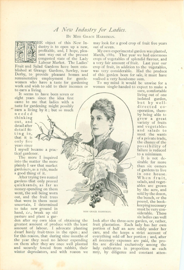 Ein aufgeschlagenes Buch mit einer Zeichnung eines Frauenkopfs darauf, umgeben von Blättern und Früchten, mit dem Text "Eine neue Industrie für Damen" darauf.