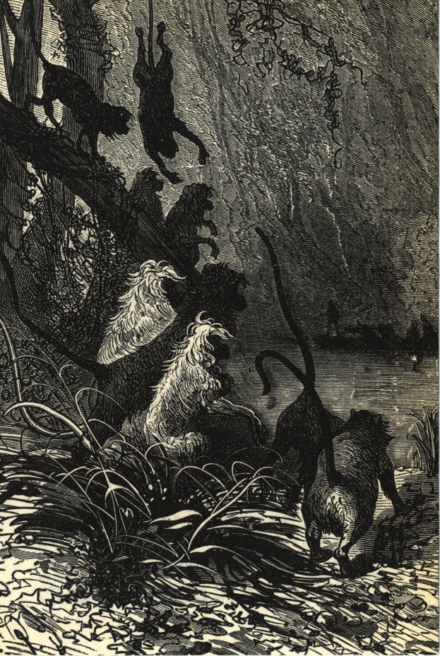 Schwarze und weiße Illustration einer Gruppe von Löwen in einer Dschungelumgebung mit üppigen Pflanzen und Bäumen, mit 'Der Löwenkönig'-Text unten.