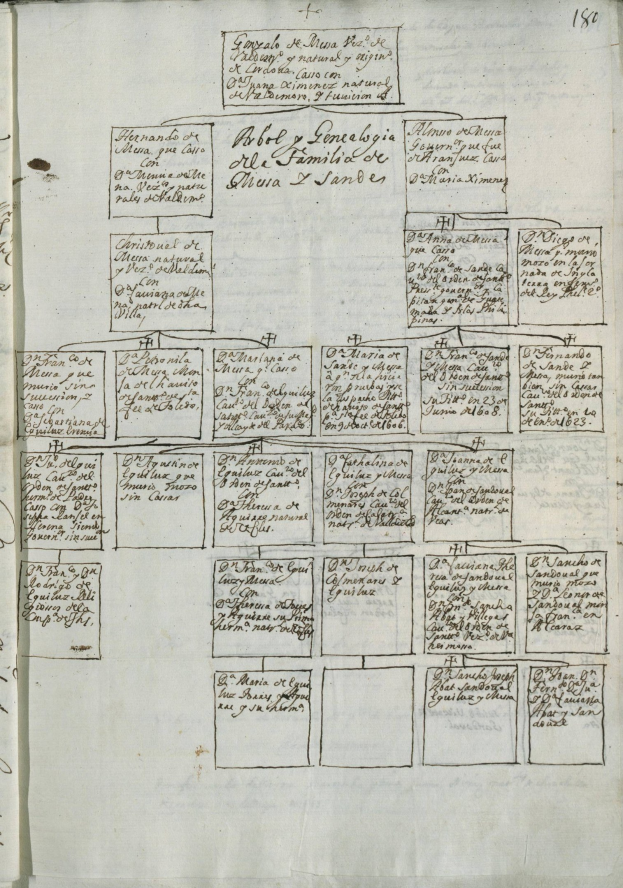 Offenes Buch mit einer handgezeichneten Familiengeschichte mit Text und nummerierten Namen.