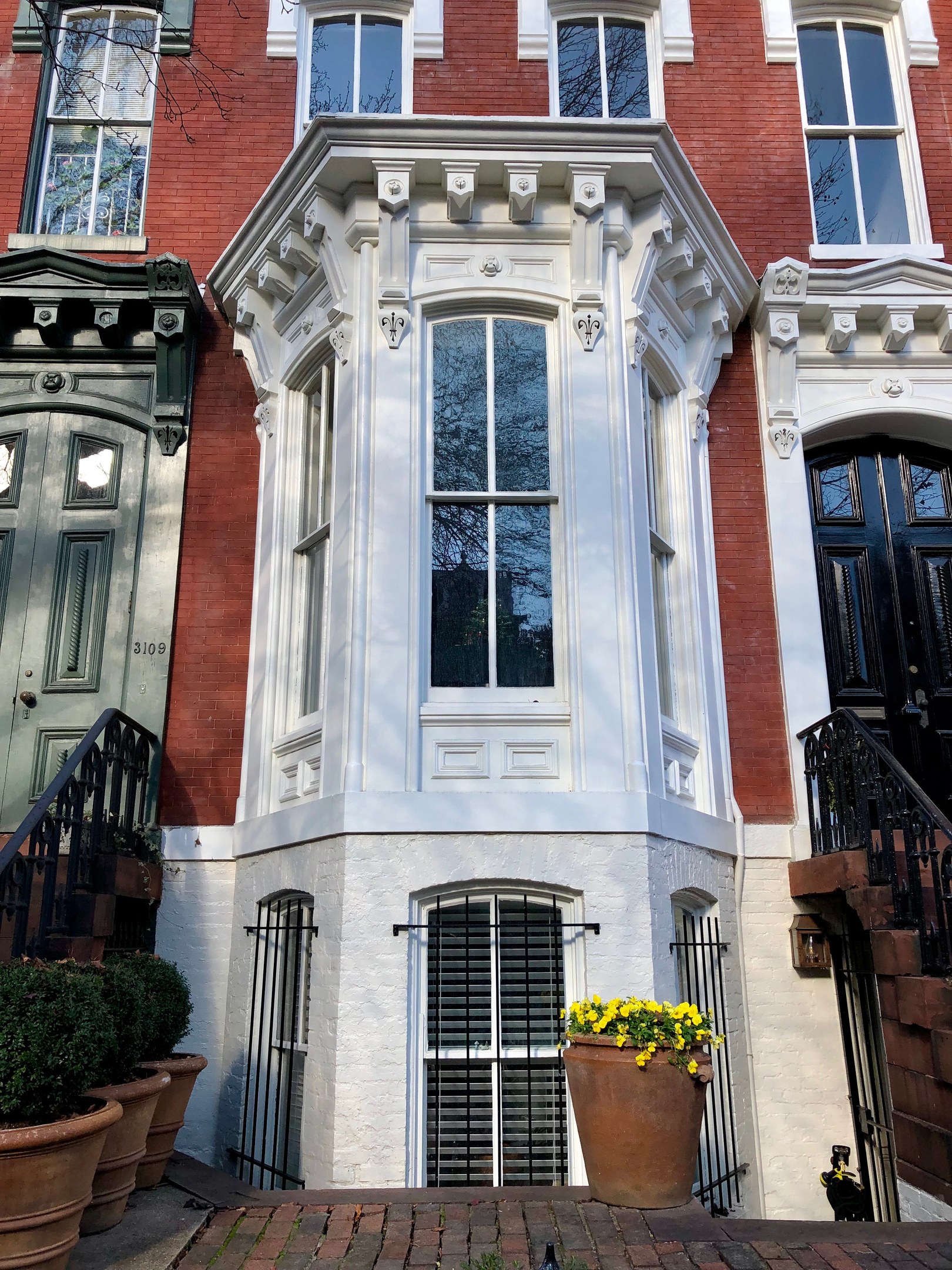 Reihe von Stadthäusern in Washington, DC, mit Fenstern, Türen, Geländern, Treppen, Topfpflanzen und einem Weg, der zu ihnen führt.