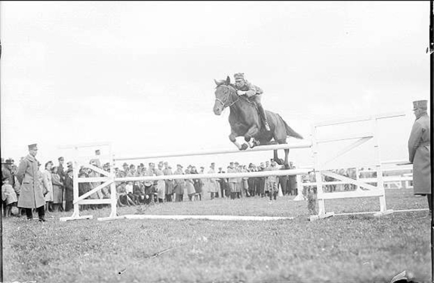 Schwarz-weiß-Foto eines Pferdes und Reiters, die über ein Hindernis springen, mit Zuschauern auf beiden Seiten.