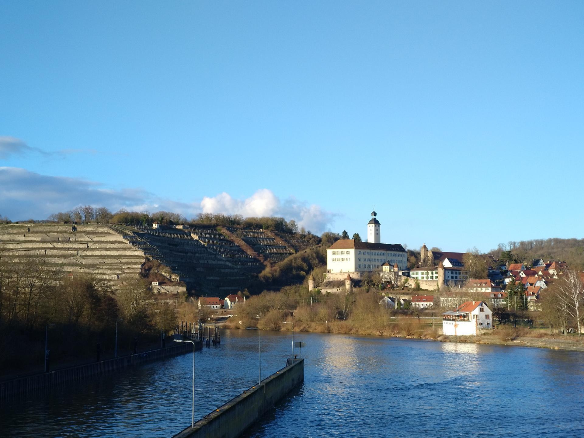 Eine malerische Aussicht auf den Rhein in Deutschland, mit einer Brücke, Laternenpfählen, Bäumen, Gebäuden entlang der Ufer und einem Hügel im Hintergrund unter einem bewölkten Himmel.