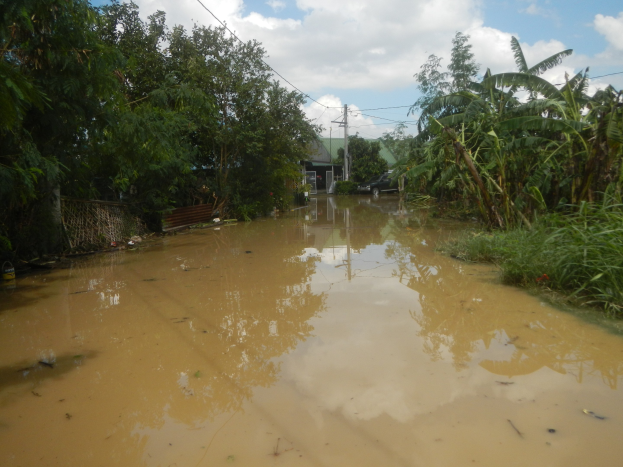 Eine überflutete Landstraße mit Wasser auf der Straße, Vegetation auf beiden Seiten, einem geparkten Auto auf der rechten Seite und beschädigten Häusern im Hintergrund unter einem bewölkten Himmel.