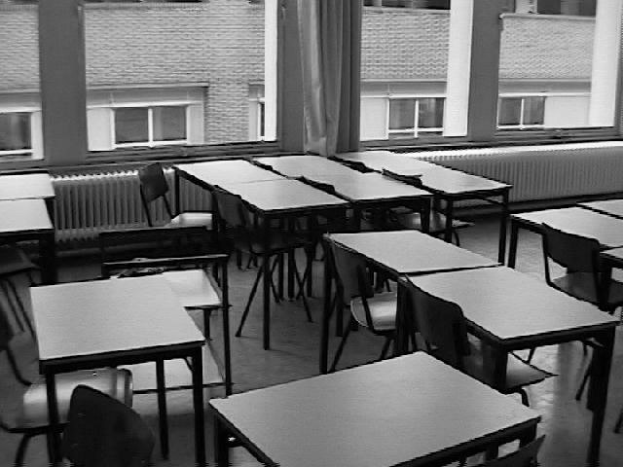 FDP: K"uhle nicht auf 19 Grad in Klassenzimmern