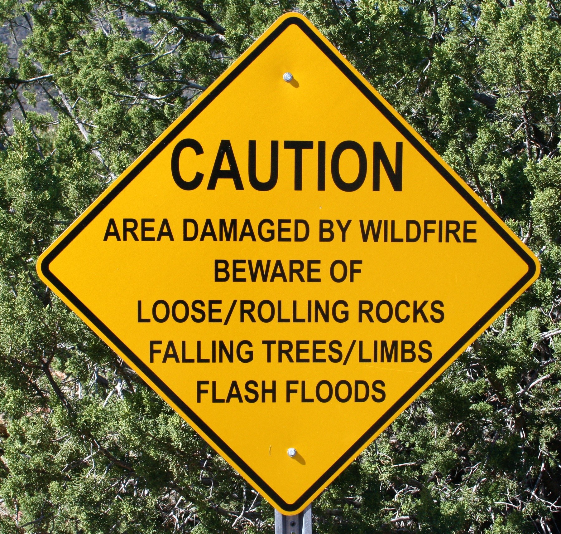 Gelbes Warnschild an einem Pfosten in der Vordergrund, das vor Wildfire-Schäden, lockeren Steinen, umstürzenden Bäumen und Überschwemmungen warnt, mit Bäumen im Hintergrund.