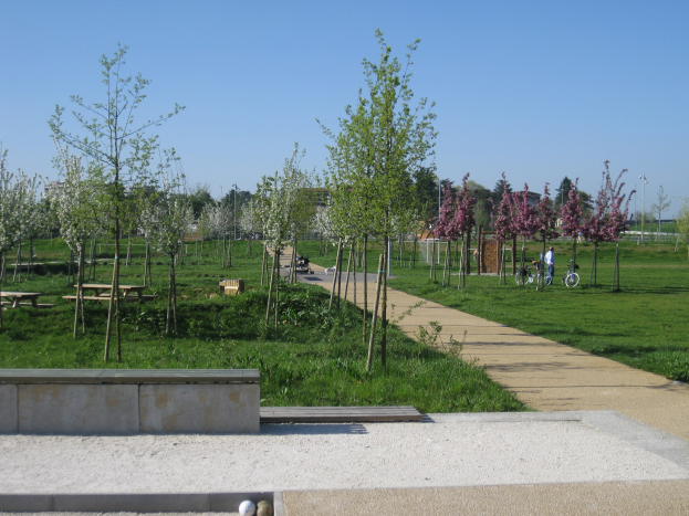 Ein von Bäumen und Bänken gesäumter Parkweg, auf dem Menschen Fahrräder fahren, mit Gebäuden und einem klaren blauen Himmel im Hintergrund und grünem Gras, das den Boden bedeckt.