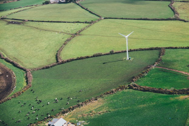 Luftaufnahme einer einzelnen Windturbine in einer grünen Wiese mit Bäumen, Häusern und Tieren im Hintergrund, die sich in Irland befindet.